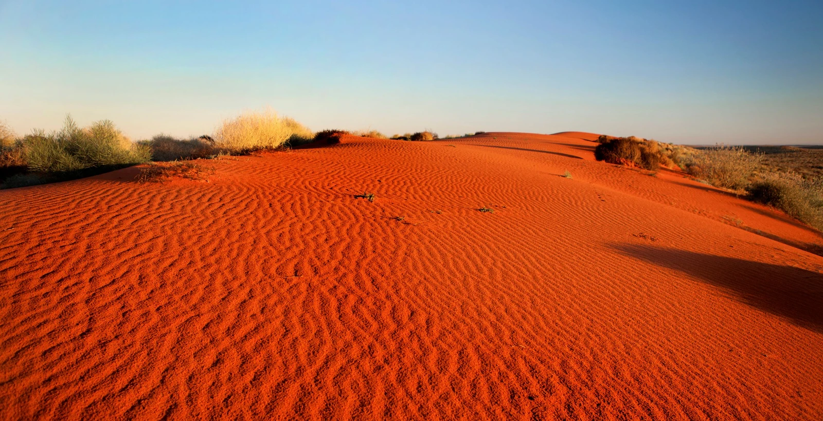 Desert 