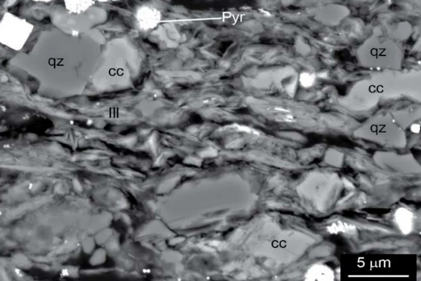 Select samples from wells in the Officer Basin of Western Australia and South Australia