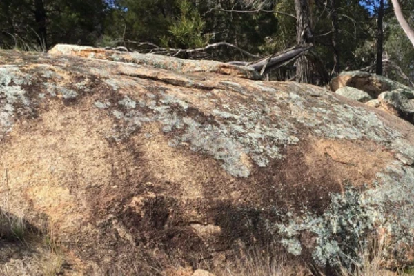 Paleozoic alkaline and related igneous rocks of Australia