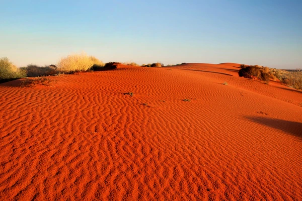 Desert 