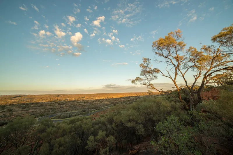 Landscape photo